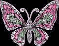 papillons (28)